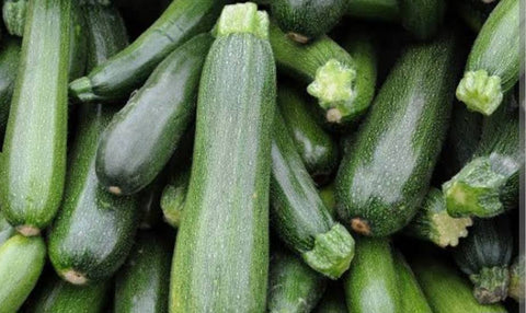 Zucchini